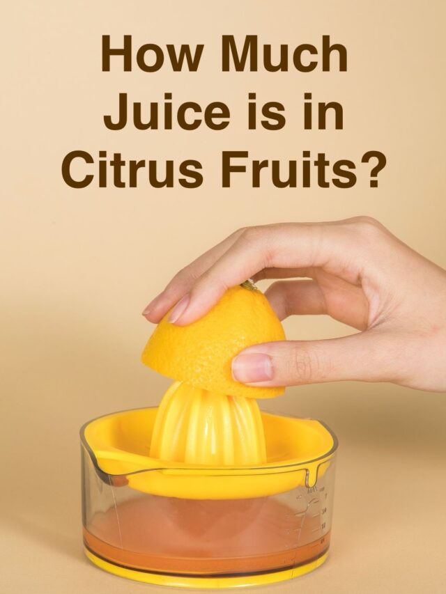 How much Juice is in Citrus Fruits?
