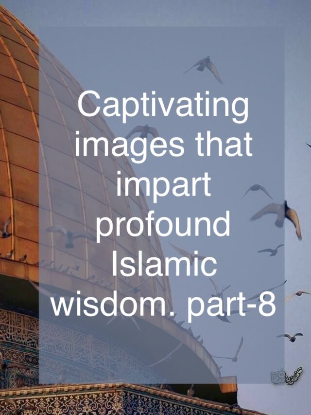 Captivating images that impart profound Islamic wisdom.Part-8